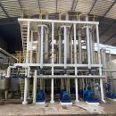 linea estrazione ananas 06