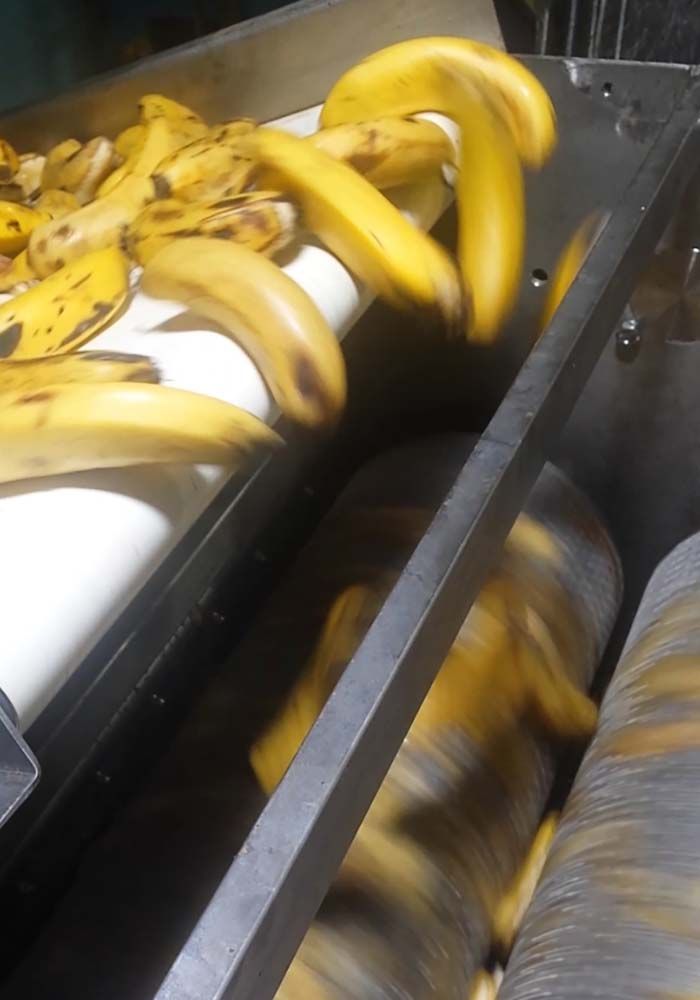 banana automatic peeler cerere 6000 04