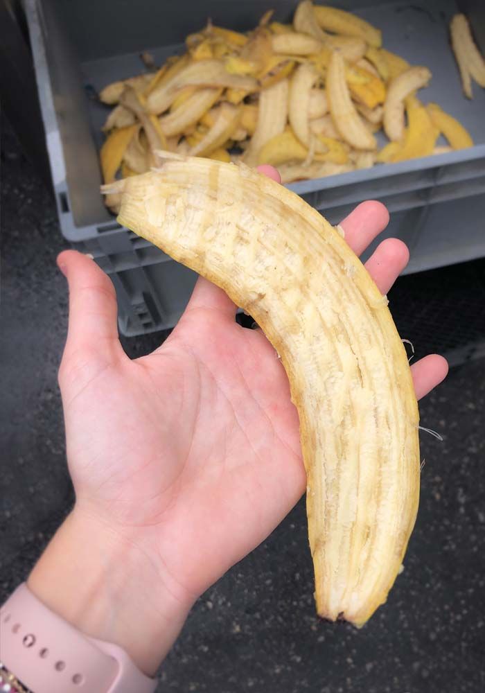 banana automatic peeler cerere 6000 06