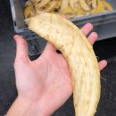 banana automatic peeler cerere 6000 06